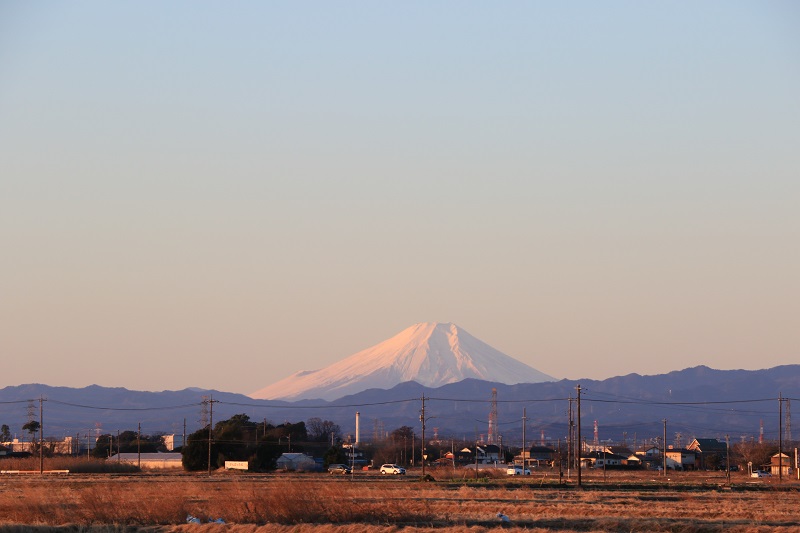 元旦の富士山.jpg